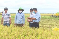 Phong trào thi đua 'Chung sức xây dựng nông thôn mới' có hiệu quả