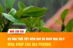 Dự báo thời tiết đêm nay và ngày mai 29/7: Mưa khắp các địa phương trong tỉnh