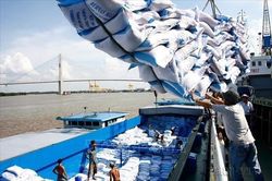 Việt Nam tiếp tục giữ vị trí quán quân về xuất khẩu gạo sang Singapore