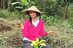 H'Hen Niê tay lấm bùn đất phụ giúp bố mẹ trồng cà phê