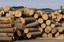Xuất khẩu tuần từ 22-28/7: 2 nhóm hàng nông nghiệp trong Top 10 hàng xuất khẩu lớn nhất