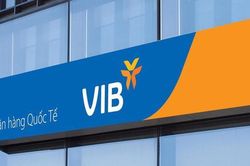 6 tháng đầu năm, VIB đạt lợi nhuận 4.600 tỷ đồng, tín dụng và huy động tăng 5%
