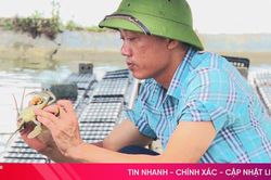 Cua nuôi hộp nhựa, lươn nuôi không bùn - mô hình mới ở TX Kỳ Anh