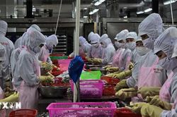 Tổng kim ngạch xuất khẩu nông lâm thủy sản tăng gần 19%