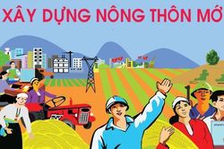 Từ ngày 1-8, điều tra thu nhập bình quân đầu người thuộc Bộ tiêu chí quốc gia về nông thôn mới