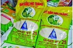 Gạo giả thương hiệu tràn lan thị trường