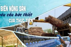Bài 3: Xác định rõ khó khăn, hạn chế về công nghiệp chế biến