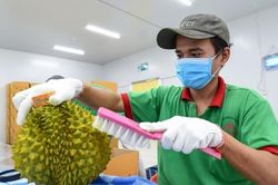Mở rộng thị trường cho rau quả