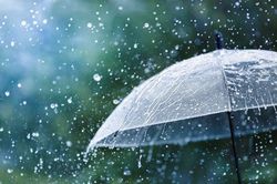 Dự báo thời tiết đêm nay và ngày mai (1/8)