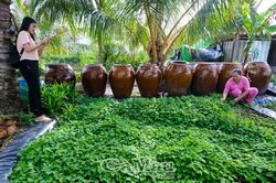 Truyền thông số mở cơ hội cho phụ nữ khởi nghiệp