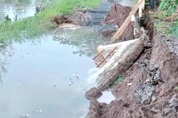 Chủ động ứng phó với lũ, ngập úng, mưa lớn kèm lốc, sét, gió giật mạnh và nguy cơ sạt lở đất