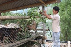 Hỗ trợ sinh kế cho đồng bào dân tộc thiểu số