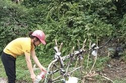 Bảo vệ, sử dụng hiệu quả nguồn nước Lần