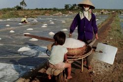 Cuộc sống sau ống kính: Nghề muôn năm cũ