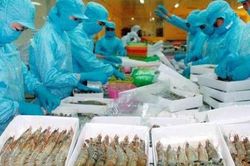 Xuất khẩu thủy sản tháng 7 đạt trên 885 triệu USD - cao nhất trong 6 tháng qua