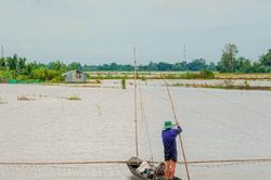 Ngóng chờ mùa nước nổi