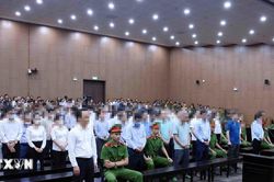 Tuyên án các bị cáo trong vụ án xảy ra tại Tập đoàn FLC