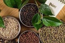Tháng 7, xuất khẩu hồ tiêu sang Trung Quốc giảm mạnh
