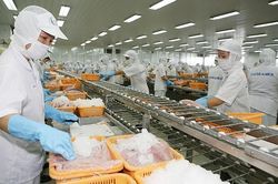 Còn nhiều dư địa phát triển thương mại và đầu tư từ EVFTA