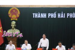 Hải Phòng: Chủ tịch quận, huyện chịu trách nhiệm nếu để dịch sốt xuất huyết lan rộng