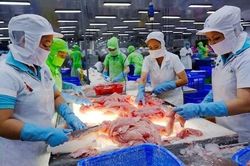Thiếu nguyên liệu cho xuất khẩu thủy sản
