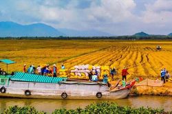 ĐBSCL là 1 trong 3 đồng bằng trên thế giới dễ bị tổn thương nhất do biến đổi khí hậu