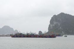 Phấn đấu trong tháng 8, Quảng Ninh hoàn thành đăng ký cho 640 tàu cá