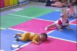 Cuộc thi bò của các em bé ở Thái Lan, ai xem cũng cười
