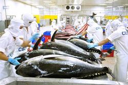 7 tháng xuất khẩu các sản phẩm thủy sản tăng 7%