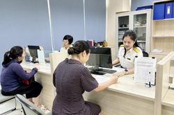 Quảng Ninh: Chi cục Thuế khu vực Cẩm Phả - Vân Đồn - Cô Tô thu ngân sách 7 tháng đạt hơn 721 tỷ đồng