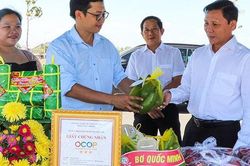 Bà Rịa-Vũng Tàu: 145 sản phẩm OCOP đạt từ 3 sao trở lên