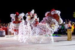 29 đội dự lễ hội lân sư rồng Hải Châu - Đà Nẵng năm 2024