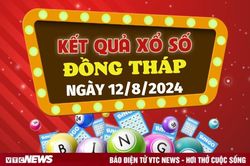 XSDT 12/8 - Kết quả xổ số Đồng Tháp hôm nay 12/8/2024 - XSDT thứ Hai