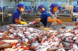 Chinh phục gần 140 quốc gia, cá tra Việt Nam làm gì để 'vượt' loạt đối thủ 'nặng ký'?