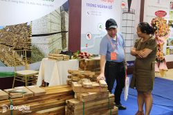 Ngành gỗ cần chủ động trước những biến động khó lường