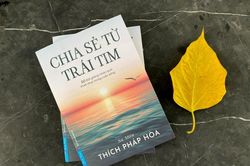 Có gì trong cuốn sách thành hiện tượng của tác giả Thích Pháp Hòa?