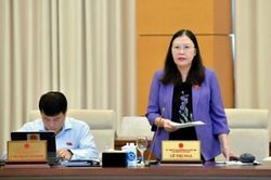 Sửa Luật Phòng, chống mua bán người: Bổ sung hành vi cấm mua bán bào thai