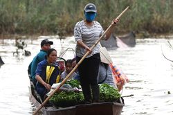 Bãi giữa sông Hồng ngập sâu nhiều ngày, người dân phải chèo thuyền đi lại