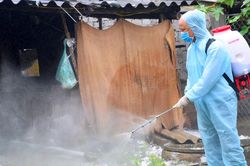 Nghệ An ban hành chỉ thị tăng cường phòng, chống dịch tả lợn châu Phi