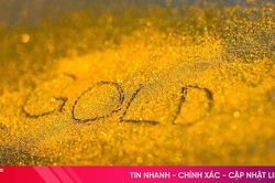 Giá vàng hôm nay 13/8/2024: Giá vàng tăng vọt!