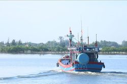 Khắc phục thẻ vàng IUU: Ngăn chặn hành vi vi phạm ở vùng biển gần bờ