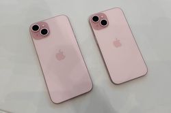 iPhone 15 Plus ngon bổ rẻ giữa tháng 8, màu hồng đẹp như iPhone 15, màn to pin trâu như iPhone 15 Pro Max hút khách Việt