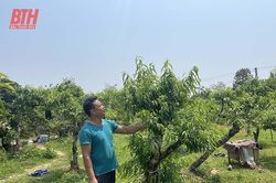 Hội Làm vườn và Trang trại tỉnh góp phần nâng cao hiệu quả sản xuất nông nghiệp