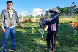 Đa dạng hình thức hỗ trợ hộ nghèo phát triển sản xuất