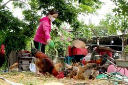 Các chương trình tín dụng của Ngân hàng chính sách xã hội Bắc Ninh đáp ứng sâu rộng đến từng đối tượng hộ nghèo