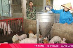 Đứng lên sau thất bại, ông nông dân thành chủ cơ sở chăn nuôi có tiếng