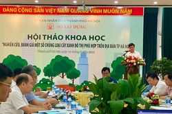 Lựa chọn cây trồng phù hợp trong đô thị