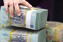 TP.HCM: Tín dụng 7 tháng đầu năm tăng 11,5%