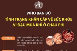 WHO ban bố tình trạng khẩn cấp về sức khỏe vì đậu mùa khỉ ở châu Phi
