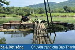 Đa dạng sinh kế giúp giảm nghèo bền vững